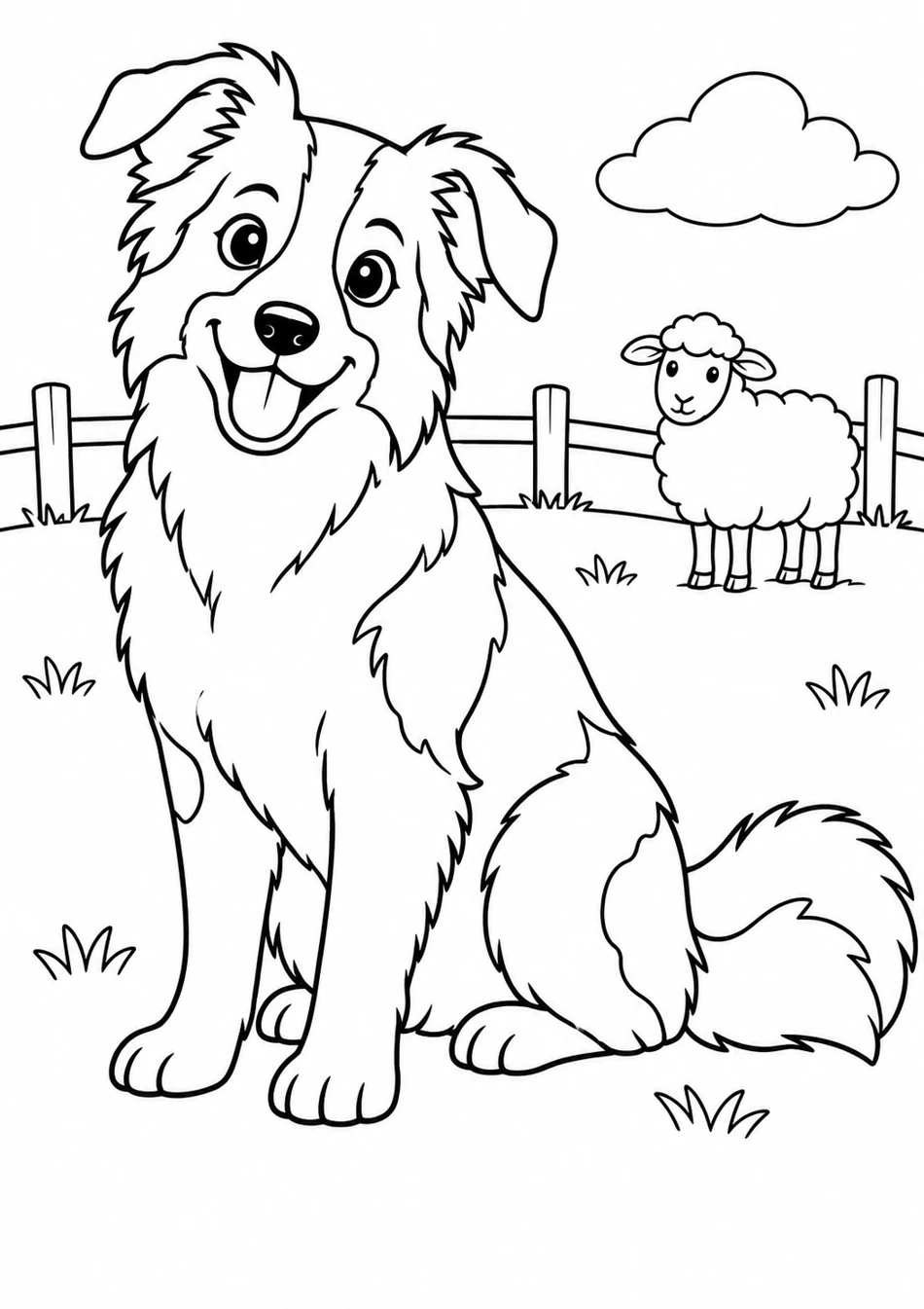 Le border collie dans le pré